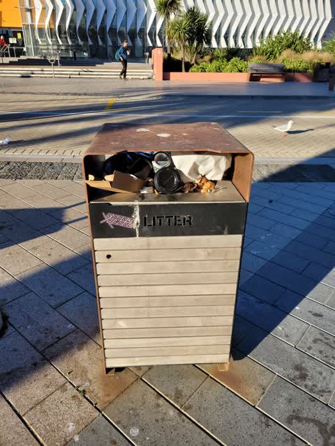 Rubbish/Recycling, a report photo
