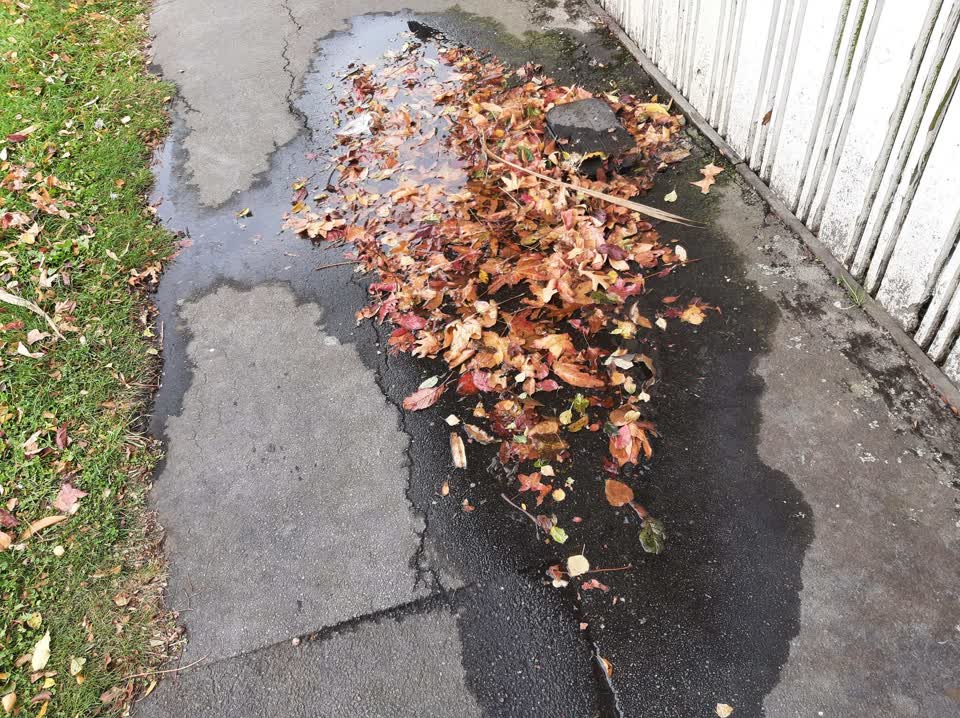 The photograph attached to this water leak report