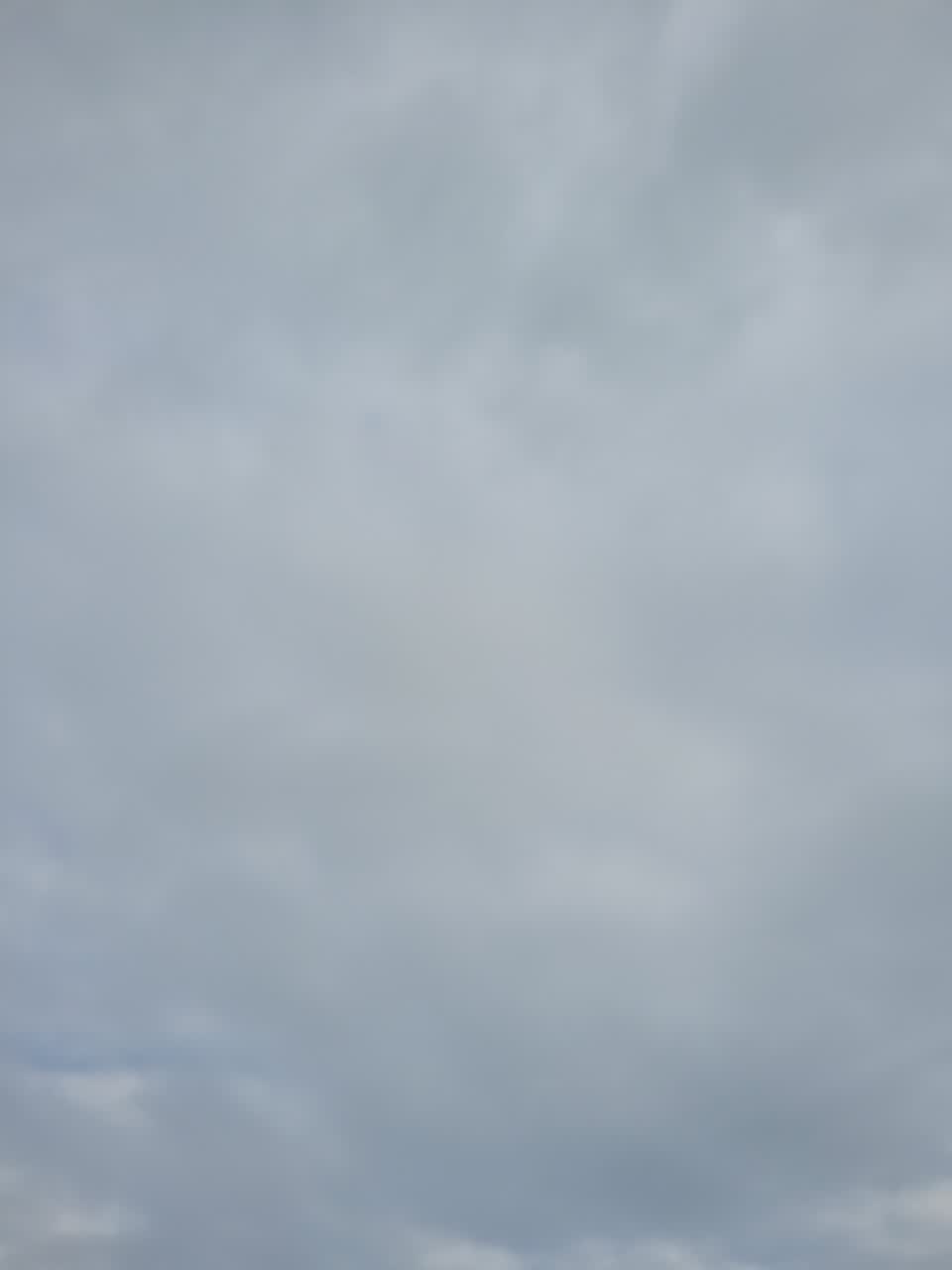 The photograph attached to this general request report