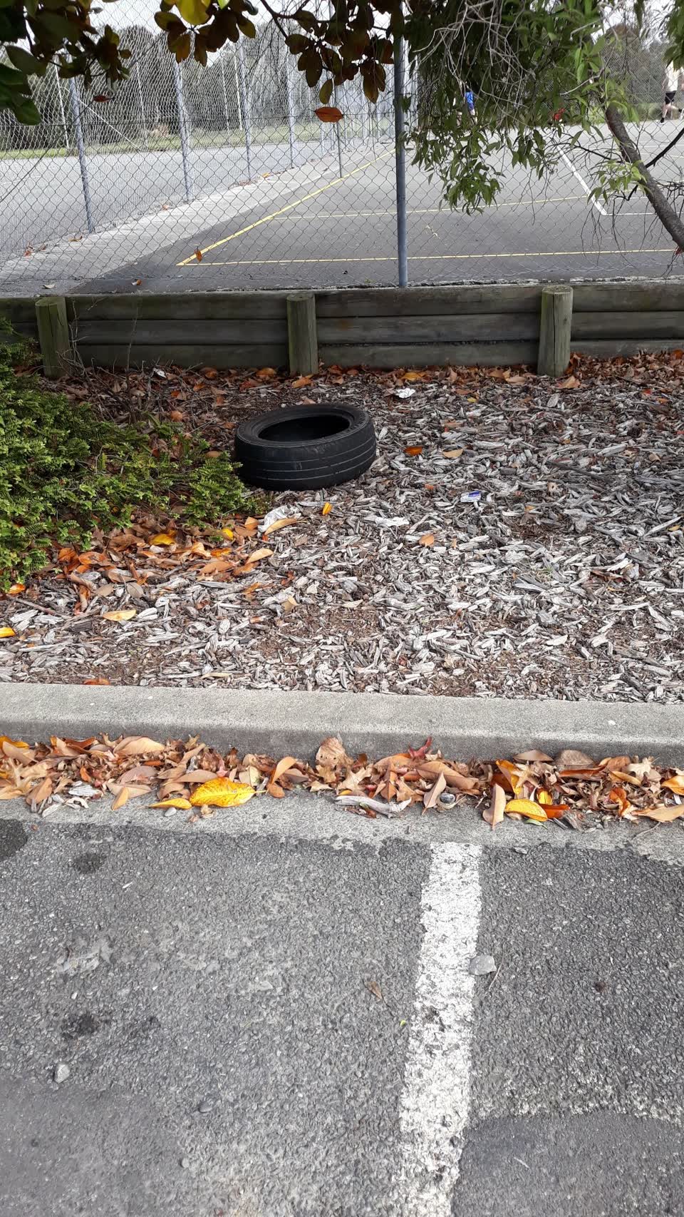 The photograph attached to this parks report