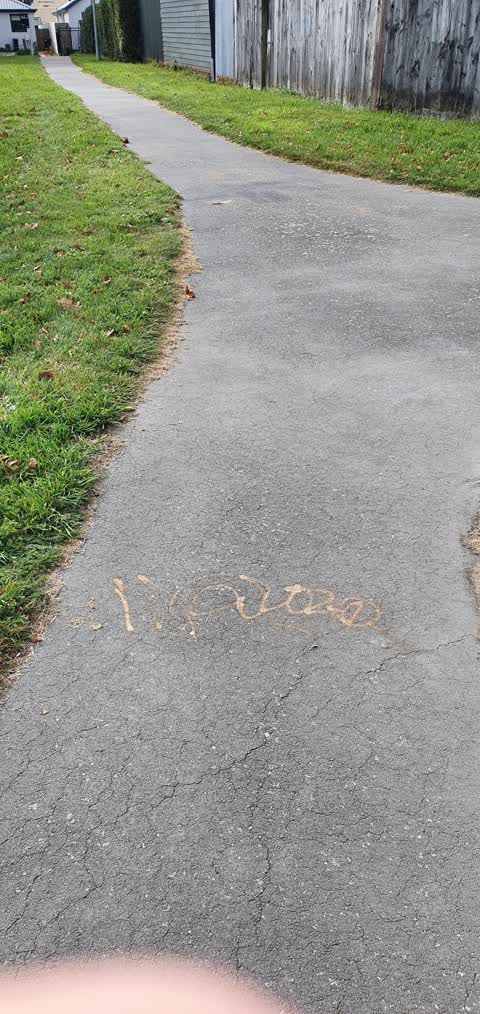 Graffiti, a report photo