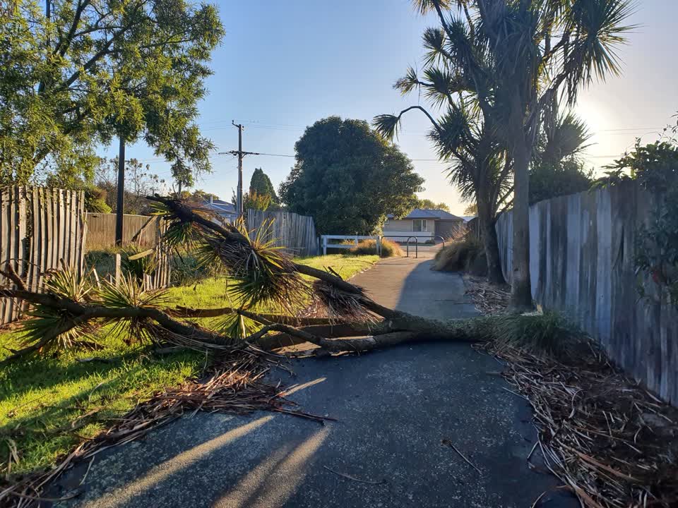 The photograph attached to this parks report