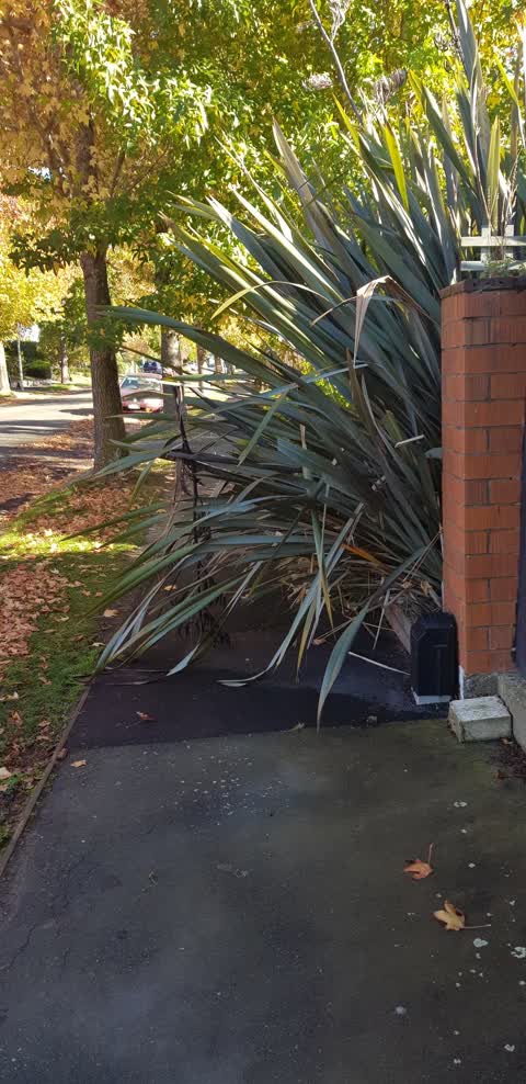 Roading/Streets, a report photo
