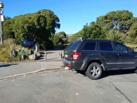Roading/Streets, a report photo