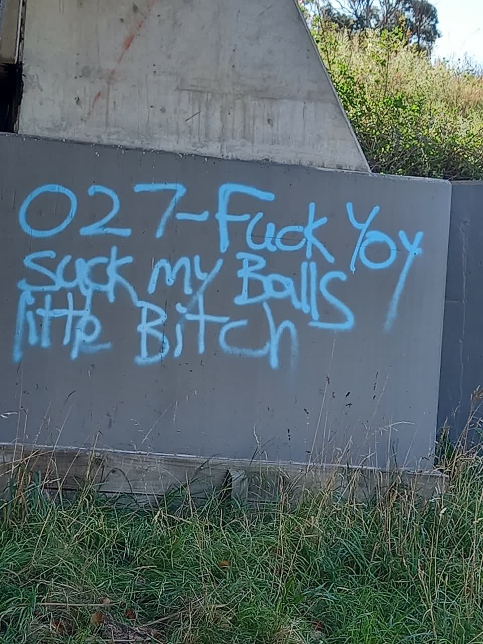 The photograph attached to this graffiti report