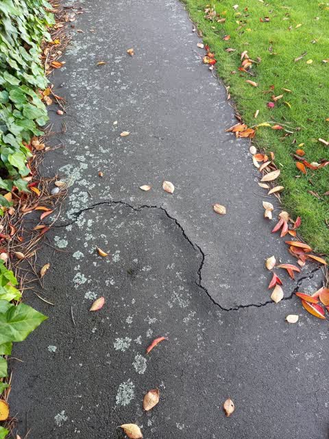 Roading/Streets, a report photo