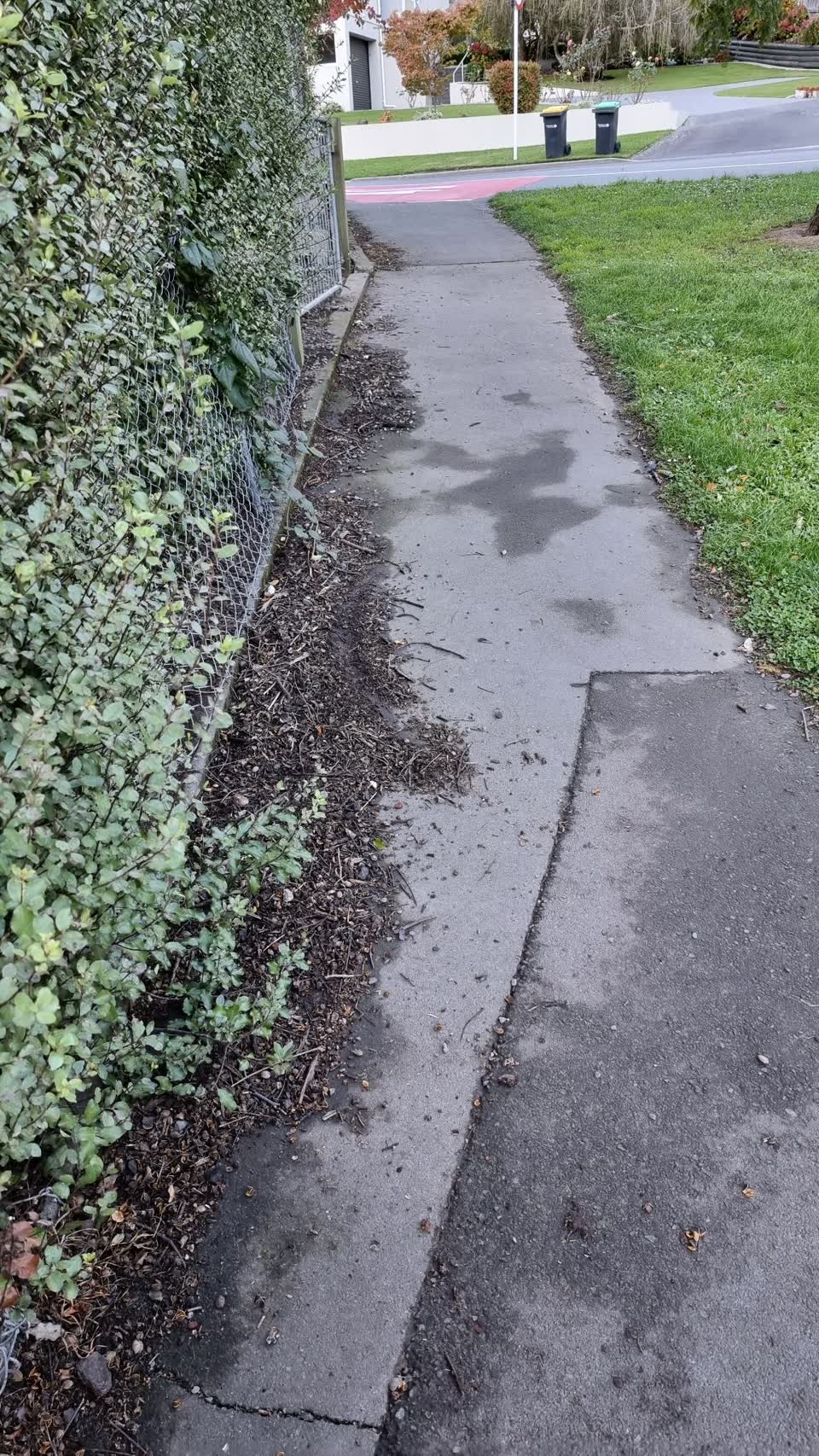 The photograph attached to this roading/streets report