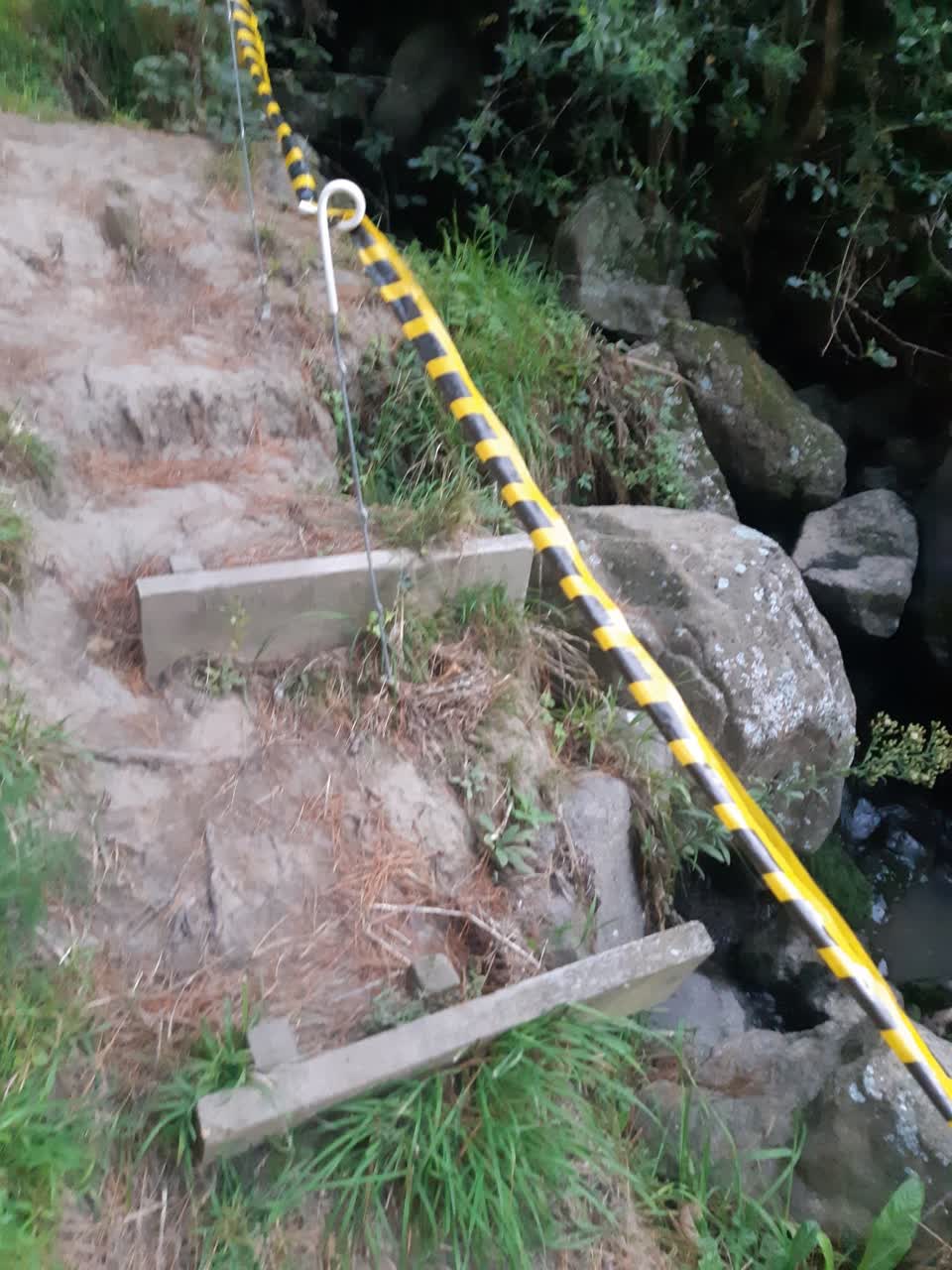 The photograph attached to this parks report