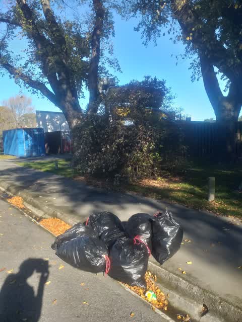 Rubbish/Recycling, a report photo
