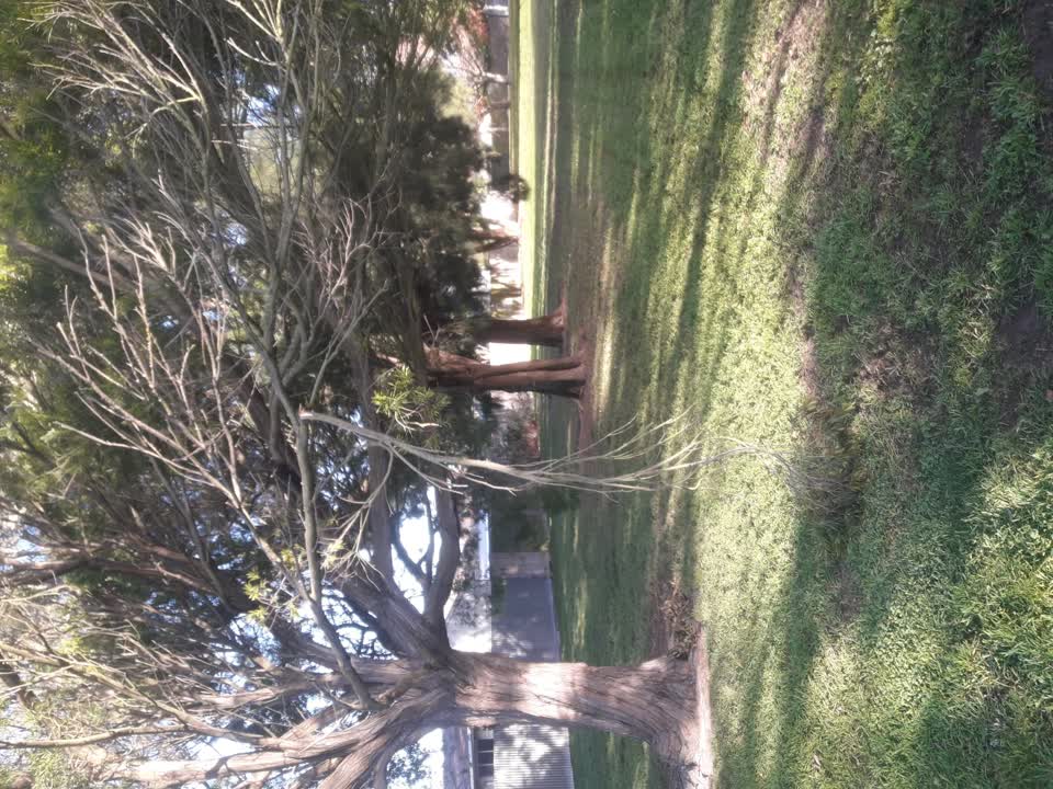 The photograph attached to this parks report