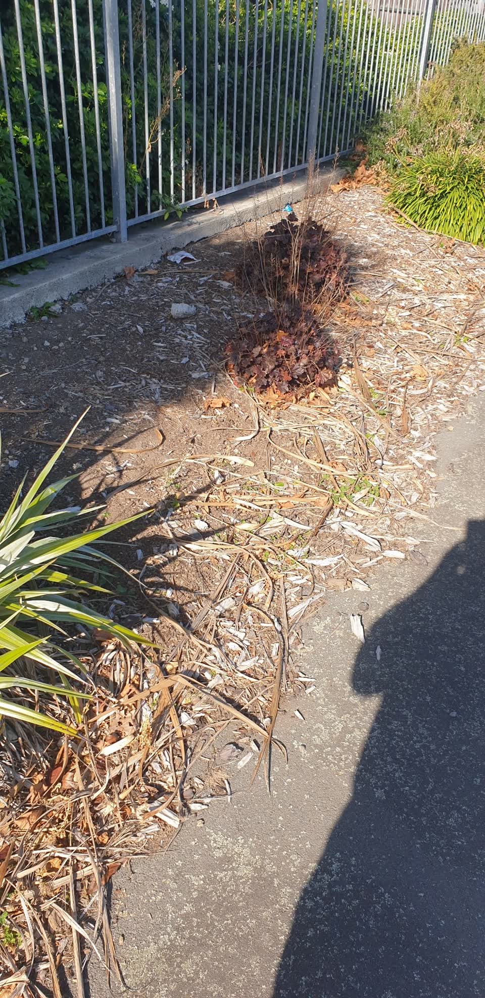 The photograph attached to this parks report