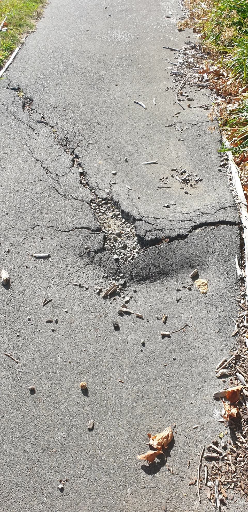 The photograph attached to this parks report
