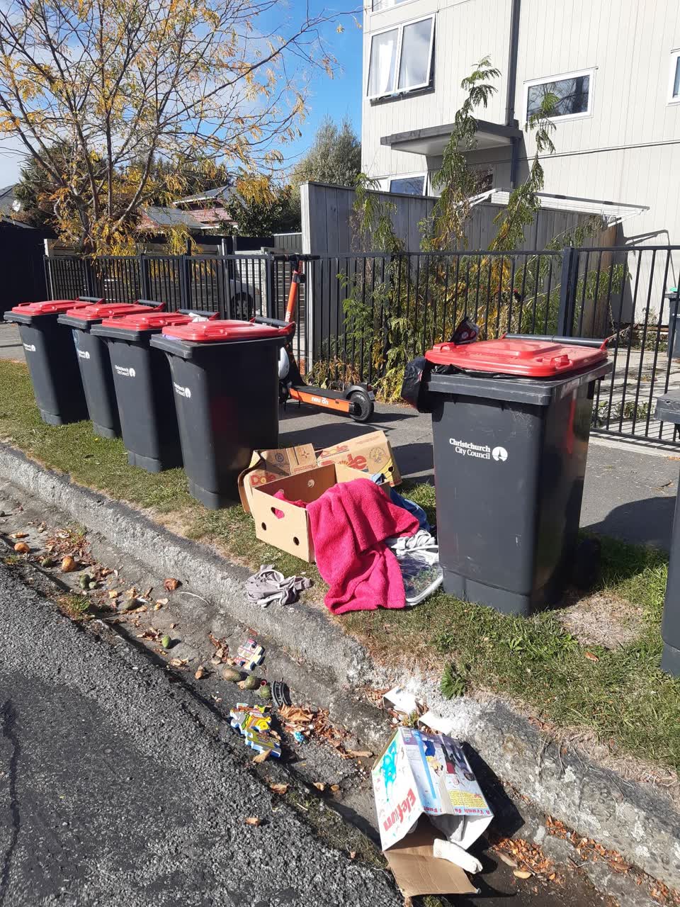 The photograph attached to this rubbish/recycling report