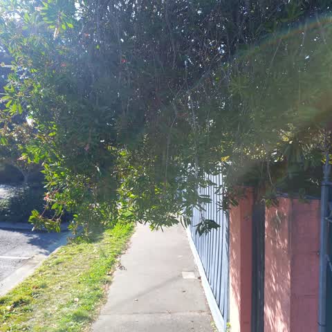 Roading/Streets, a report photo
