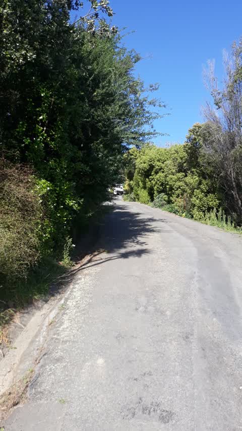 Roading/Streets, a report photo