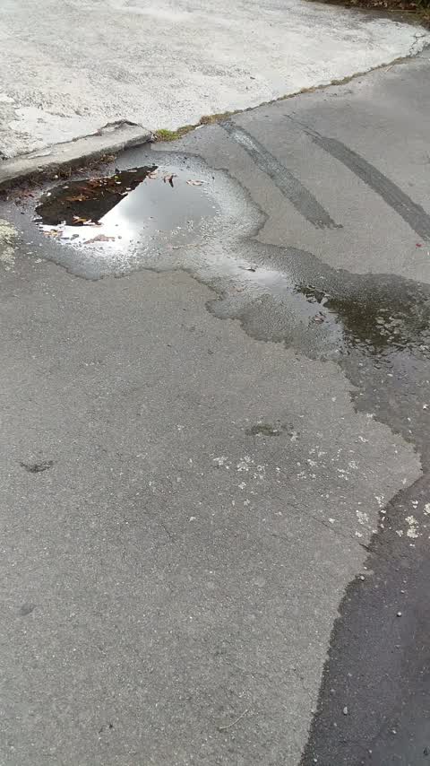 Water Leak, a report photo