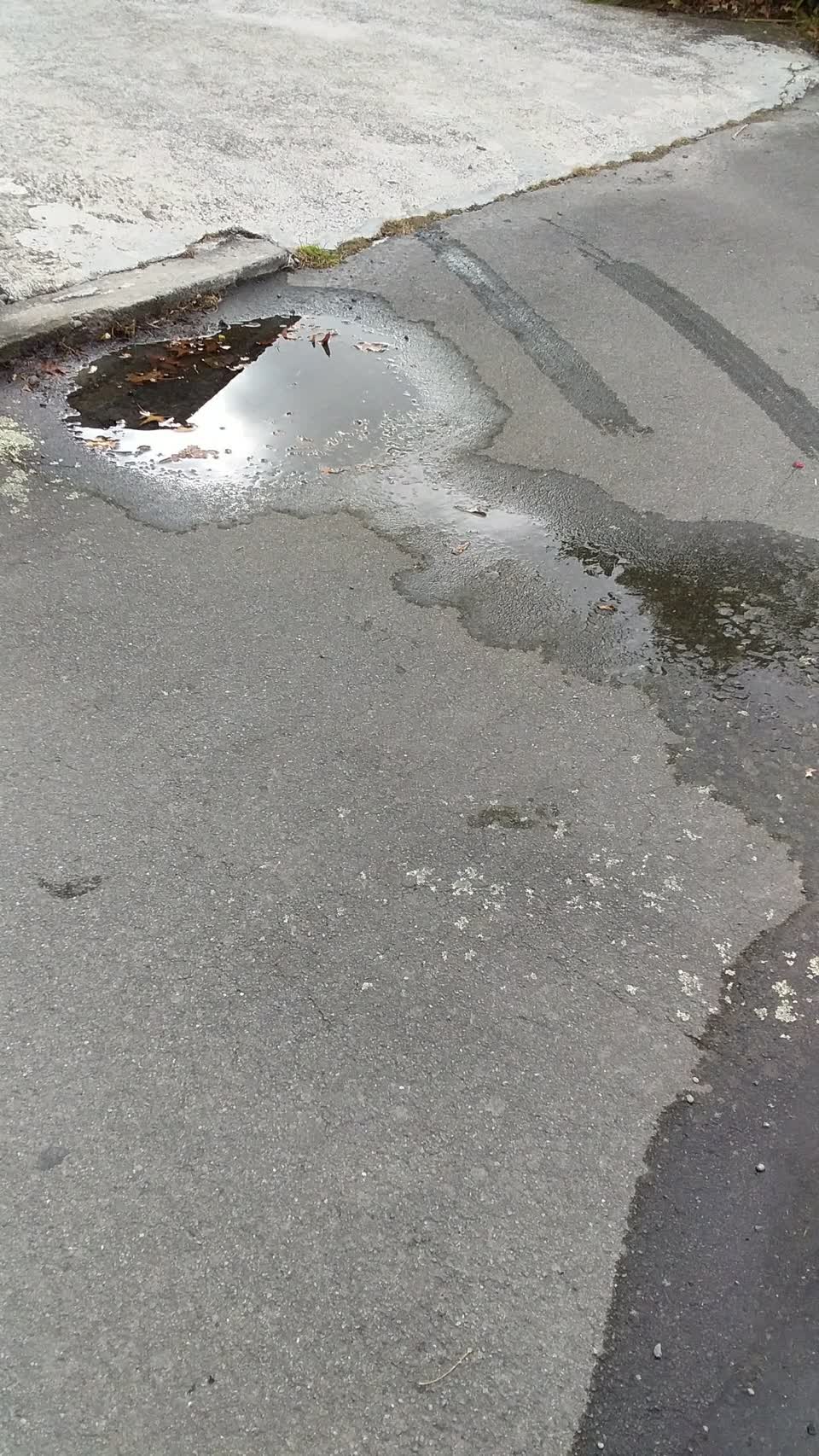 The photograph attached to this water leak report