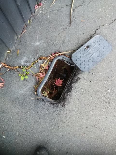 Water Leak, a report photo