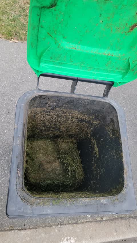 Rubbish/Recycling, a report photo