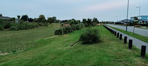 Parks, a report photo