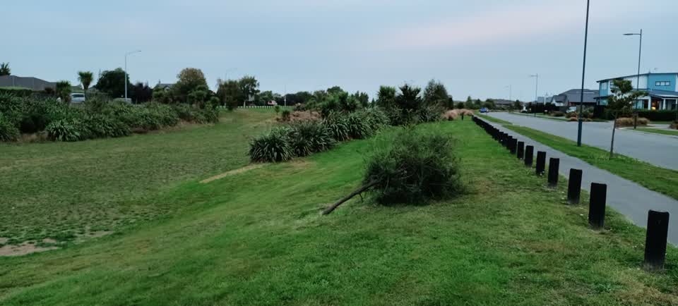 The photograph attached to this parks report