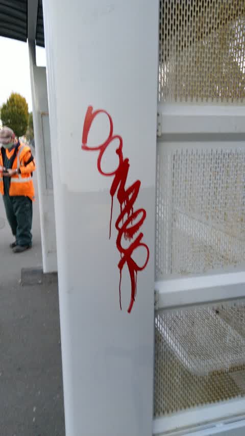 Graffiti, a report photo