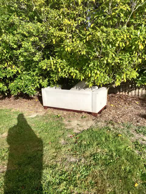 Rubbish/Recycling, a report photo