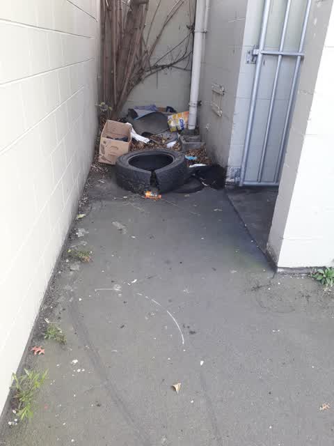 Rubbish/Recycling, a report photo