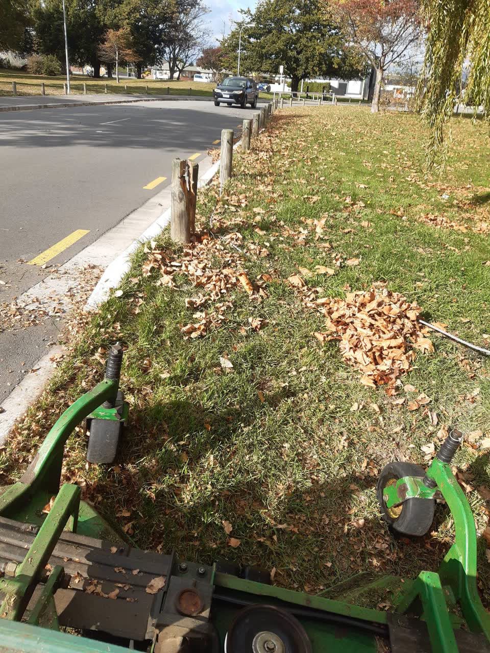 The photograph attached to this parks report