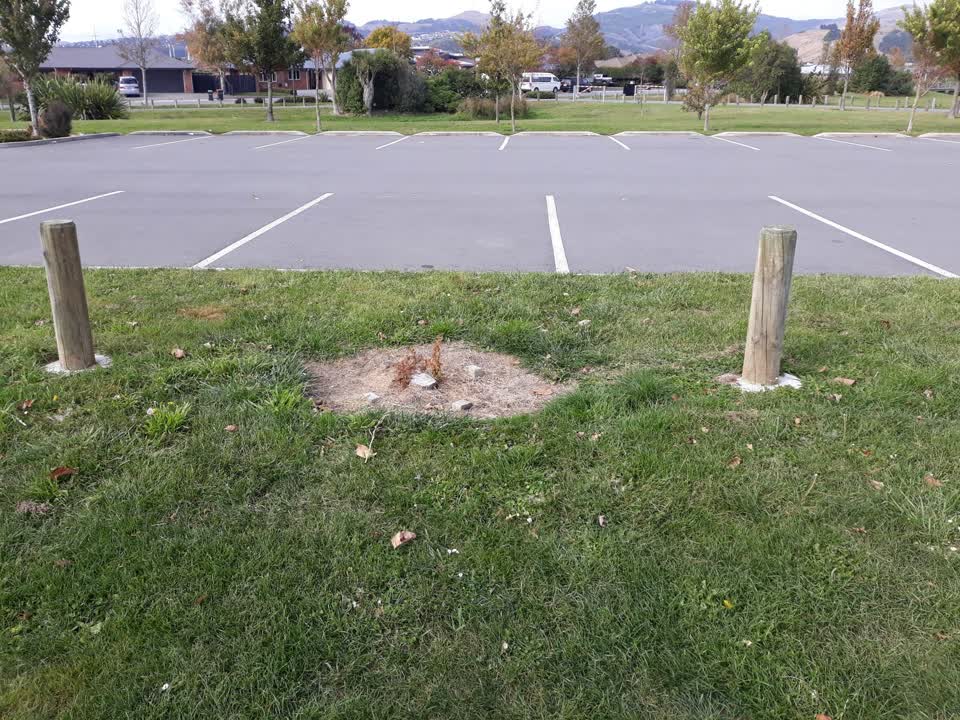 The photograph attached to this parks report