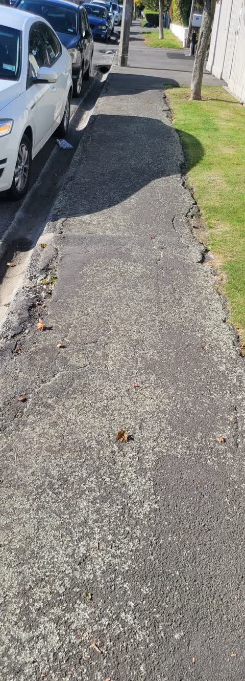 Roading/Streets, a report photo