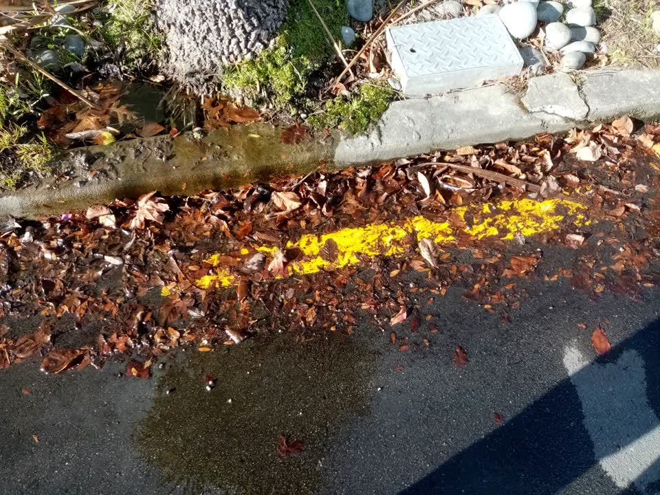 The photograph attached to this water leak report