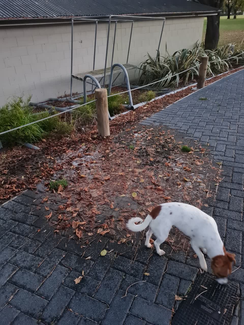 The photograph attached to this water leak report