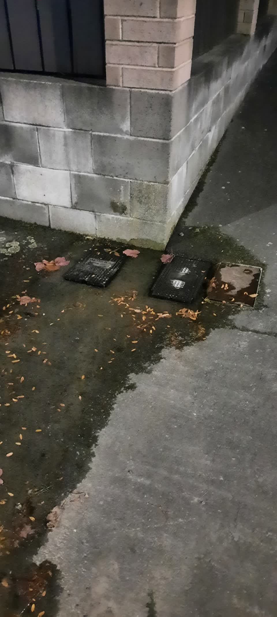 The photograph attached to this sewer - leak / blockage report