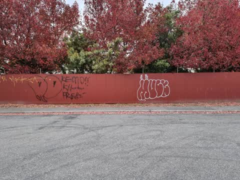 Graffiti, a report photo