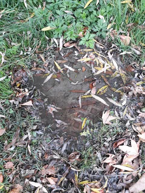 Sewer - Leak / Blockage, a report photo