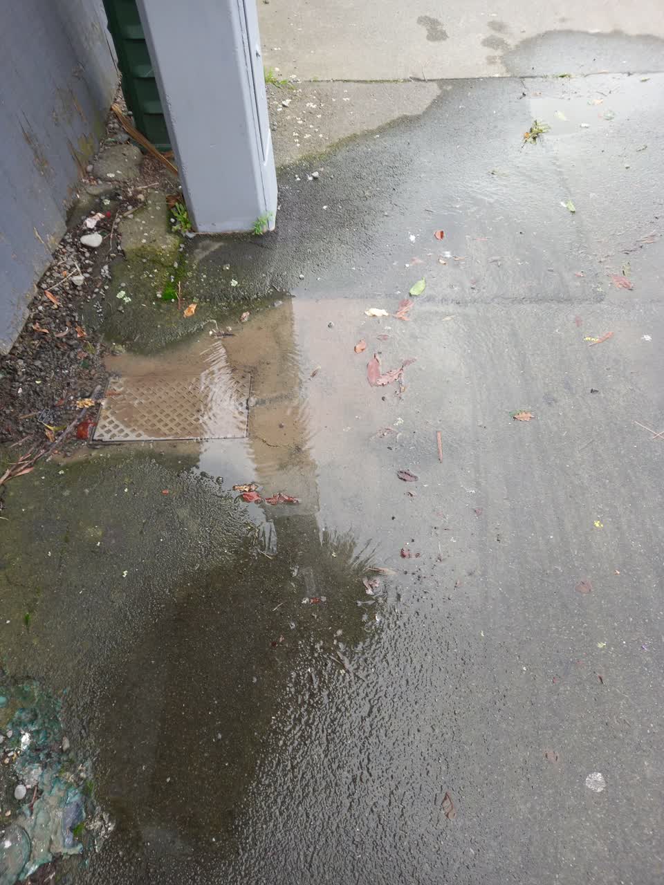 The photograph attached to this water leak report