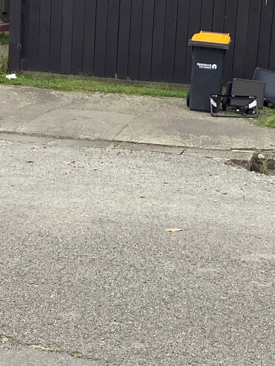 The photograph attached to this rubbish/recycling report