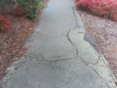 Roading/Streets, a report photo