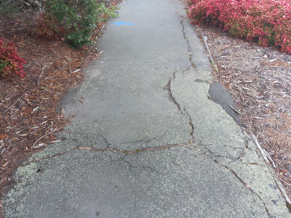 The photograph attached to this roading/streets report