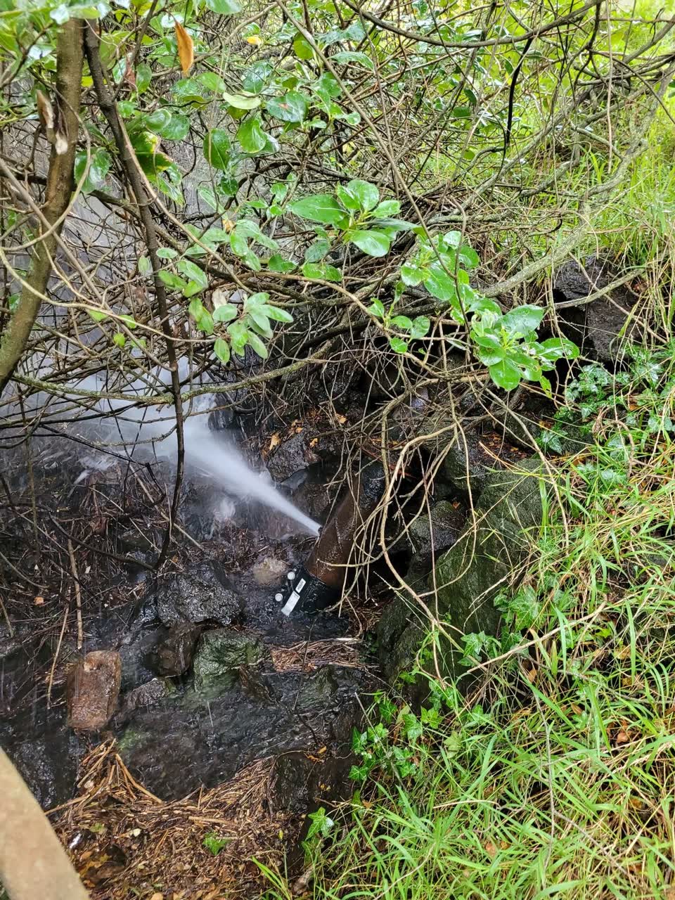The photograph attached to this water leak report