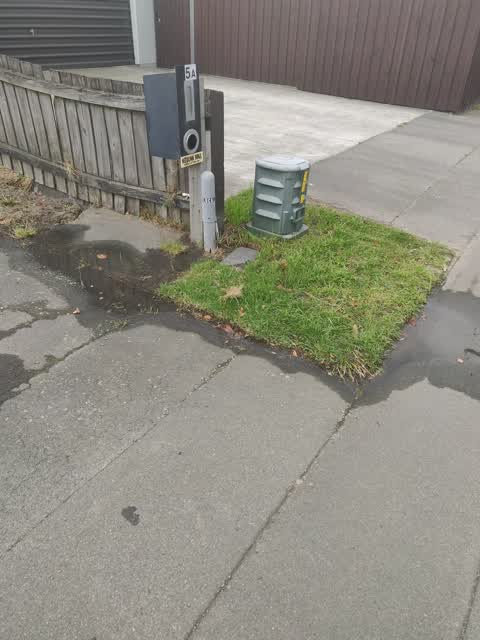 Water Leak, a report photo