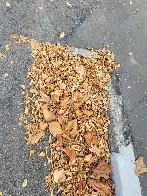 Wastewater/Stormwater, a report photo