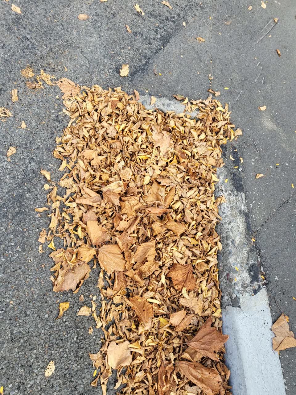 The photograph attached to this wastewater/stormwater report
