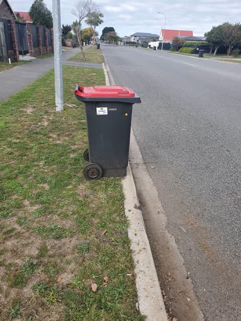 Rubbish/Recycling, a report photo