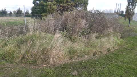 Parks, a report photo