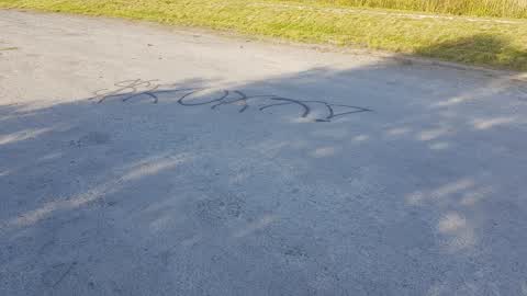 Graffiti, a report photo