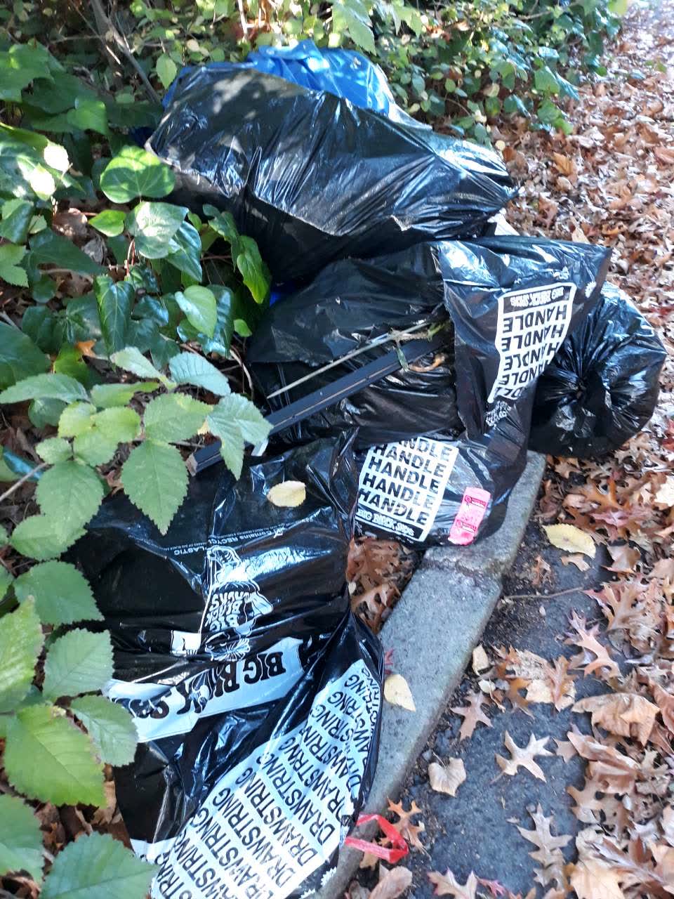 The photograph attached to this rubbish/recycling report