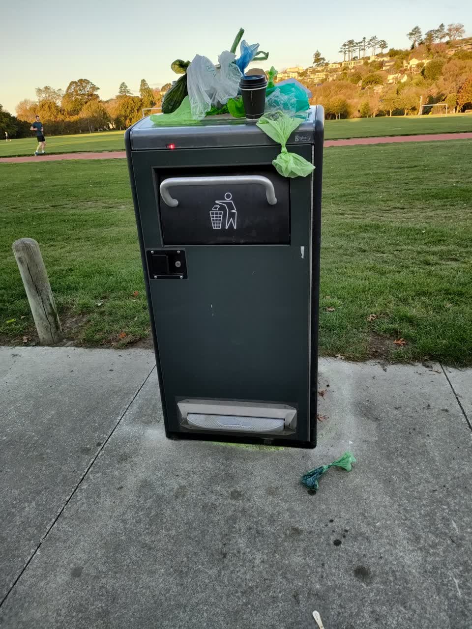 The photograph attached to this rubbish/recycling report