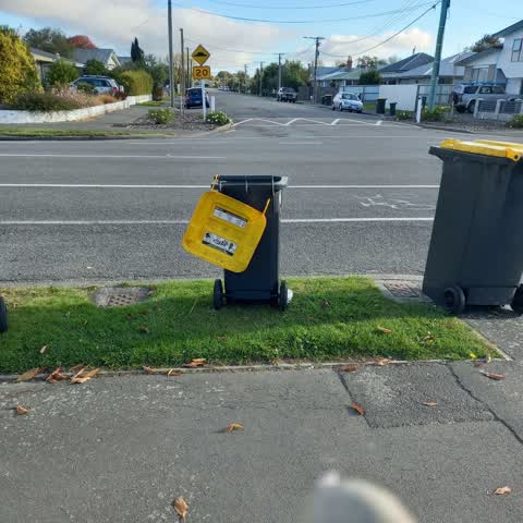 Rubbish/Recycling, a report photo